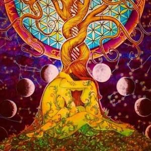 Meet your Posher, Eva